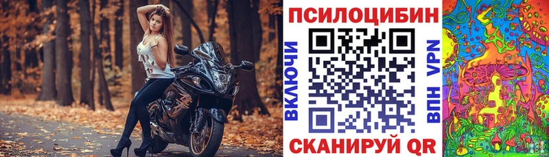 наркота  Карачев  Галлюциногенные грибы прущие грибы 